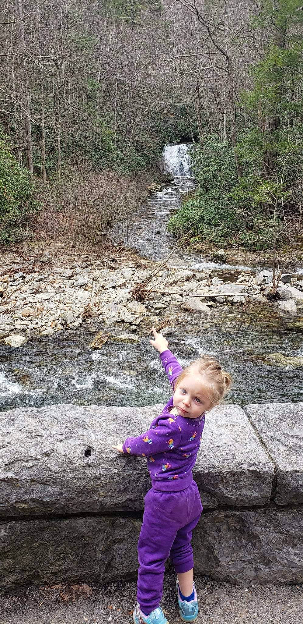 Jazmyn joined the competition — help win amazing prizes! asphalt, child, forest, fun, grass, landscape, leaf, leisure, natural_landscape, nature, people_in_nature, person, plant, recreation, road, road_surface, soil, spring, toddler, tree