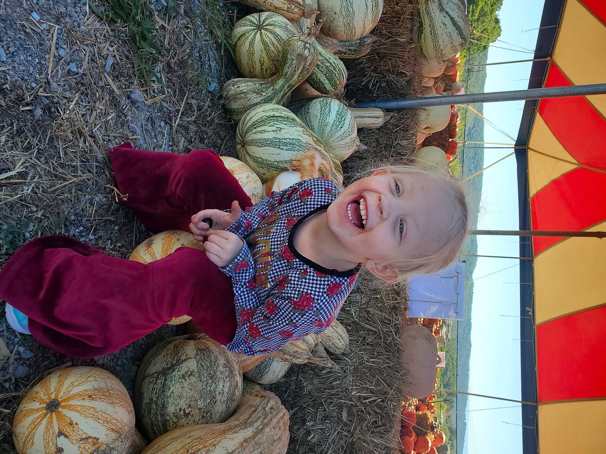 Alaeja is registered to the contest to win money with this photo: baby, baby_toddler_clothing, calabaza, child, fun, grass, happy, hat, leisure, pattern, people_in_nature, person, plant, pumpkin, smile, toddler, tree, vegetable, wood