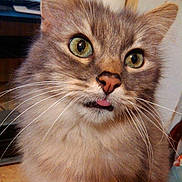 Keuche participe au concours pour gagner de l'argent avec cette photo :