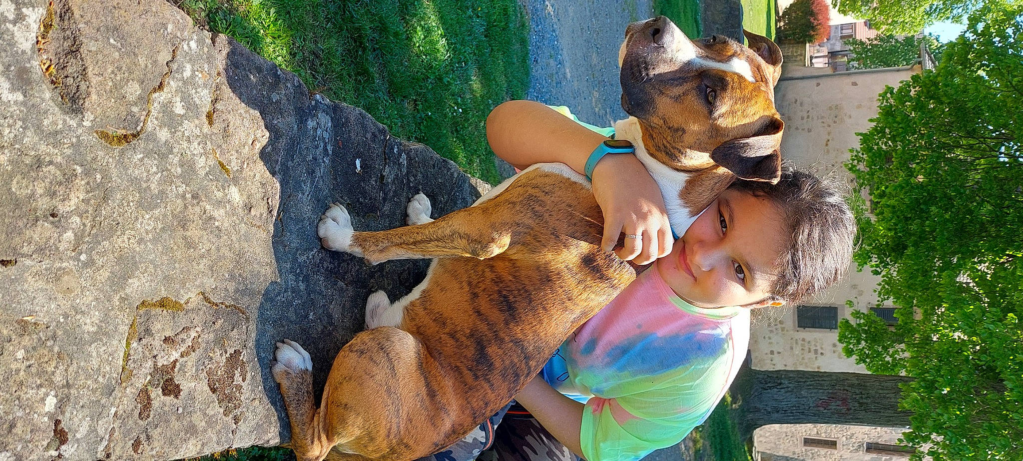 Dobby a rejoint le concours — aidez-le/la à gagner de superbes lots ! canidae, carnivore, companion_dog, dog, dog_breed, eyewear, fawn, fun, glasses, grass, green, happy, leisure, mammal, plant, recreation, sporting_group, sunglasses, vacation, vertebrate