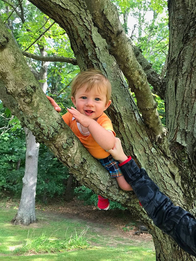 Leeland is registered to the contest to win money with this photo: abdomen, child, child_model, leg, people_in_nature, person, plant, toddler, tree, trunk, woody_plant