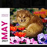 puppy, dog, golden_fur, fluffy, animal, pet, flowers, colorful_flowers, garden, portrait, calendar, product_page, mobile_screenshot, browser, phone_screen, text, may, gunner, cute, floral_background