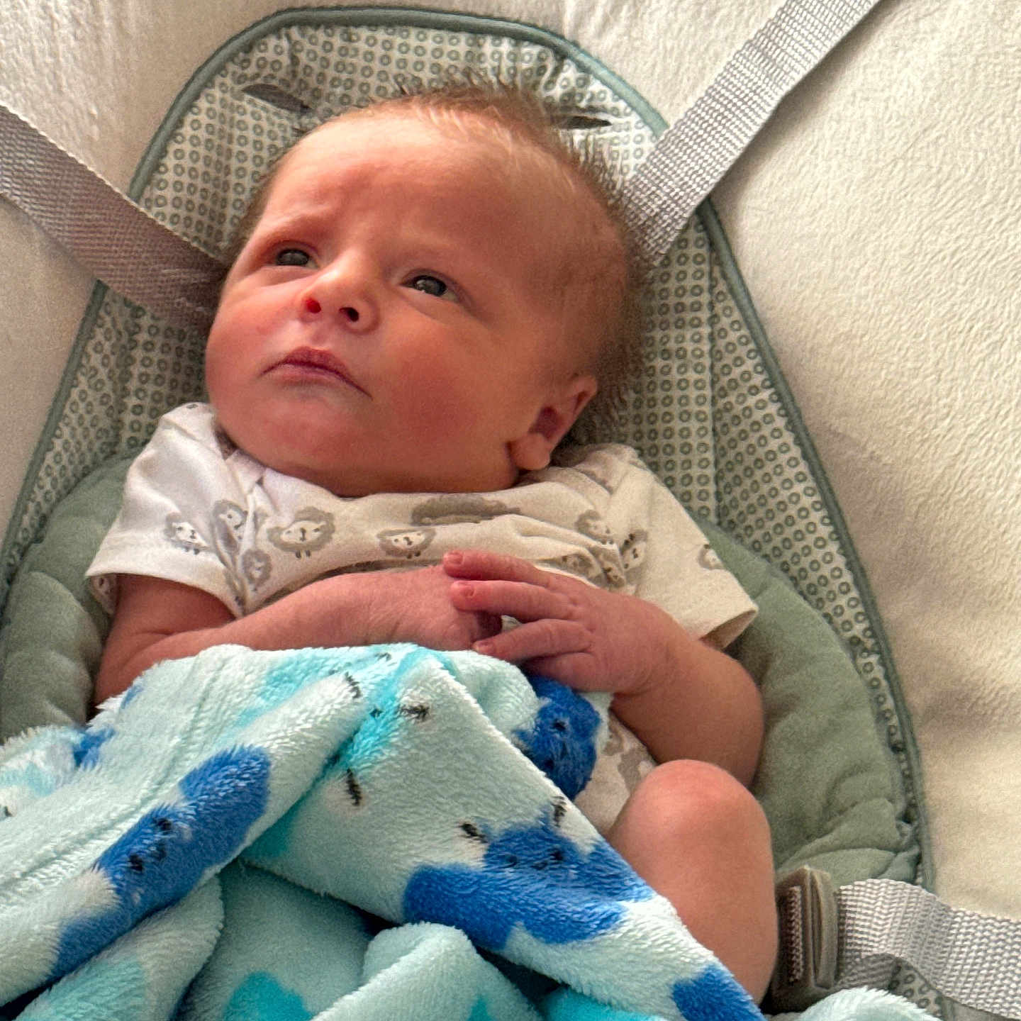 Sawyer is registered to the contest to win money with this photo: baby, bed, bedroom, blanket, cradle, crib, cushion, face, furniture, head, homedecor, infantbed, linen, newborn, person, photography, portrait, quilt, sleeping, towel