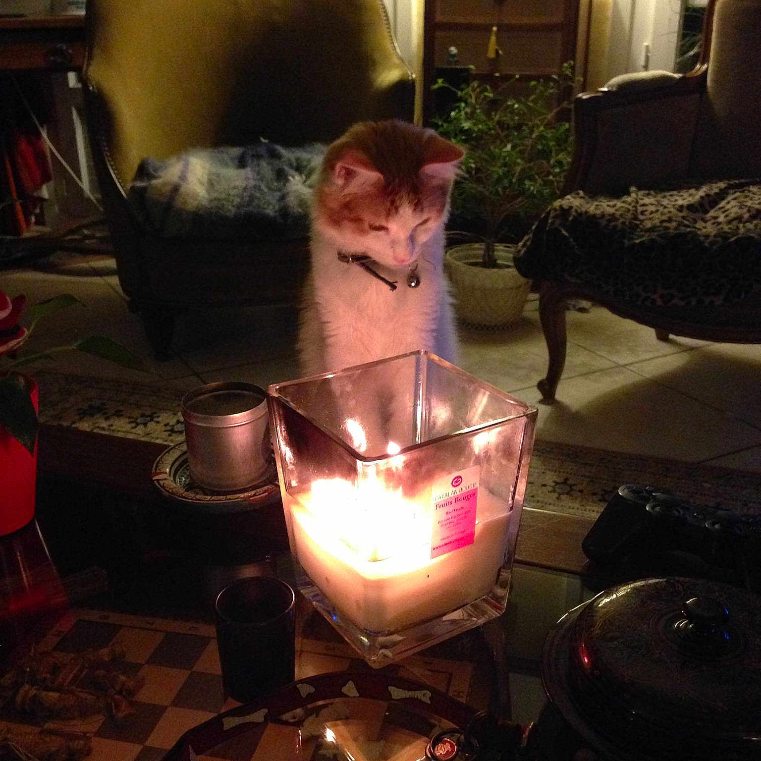 Max
