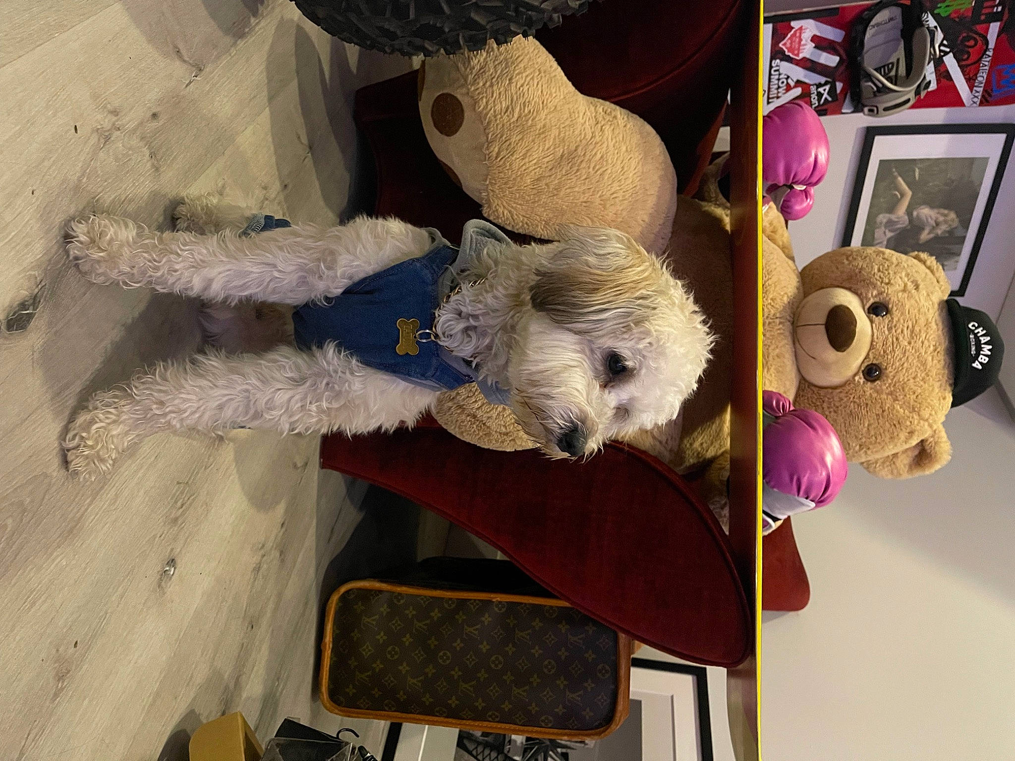 Tatum Damonté Tot joined the competition — help win amazing prizes! art, baby_toys, collection, craft, fur, linens, magenta, plastic, plush, purple, room, shelf, shelving, stuffed_toy, teddy_bear, thread, toy, visual_arts, wood, wool