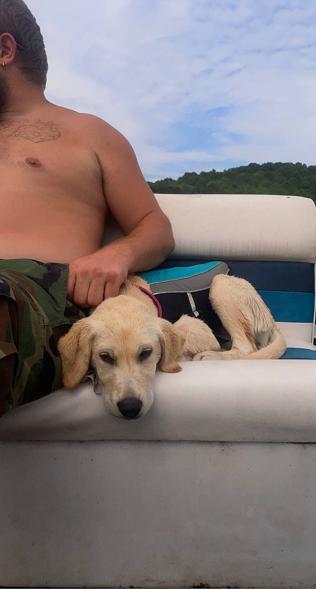 Josie is registered to the contest to win money with this photo: carnivore, chair, chest, cloud, comfort, companion_dog, couch, dog, dog_breed, fawn, human_leg, leisure, outdoor_furniture, shorts, sitting, sky, sporting_group, travel, tree, vacation