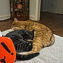 cat, orange_tabby, tabby_cat, black_tabby, sleeping, couch, pillow, orange_pillow, indoor, wooden_floor, cabinet, furniture, home_interior, cozy, pets, animal, tail, resting, relaxing, curled_up