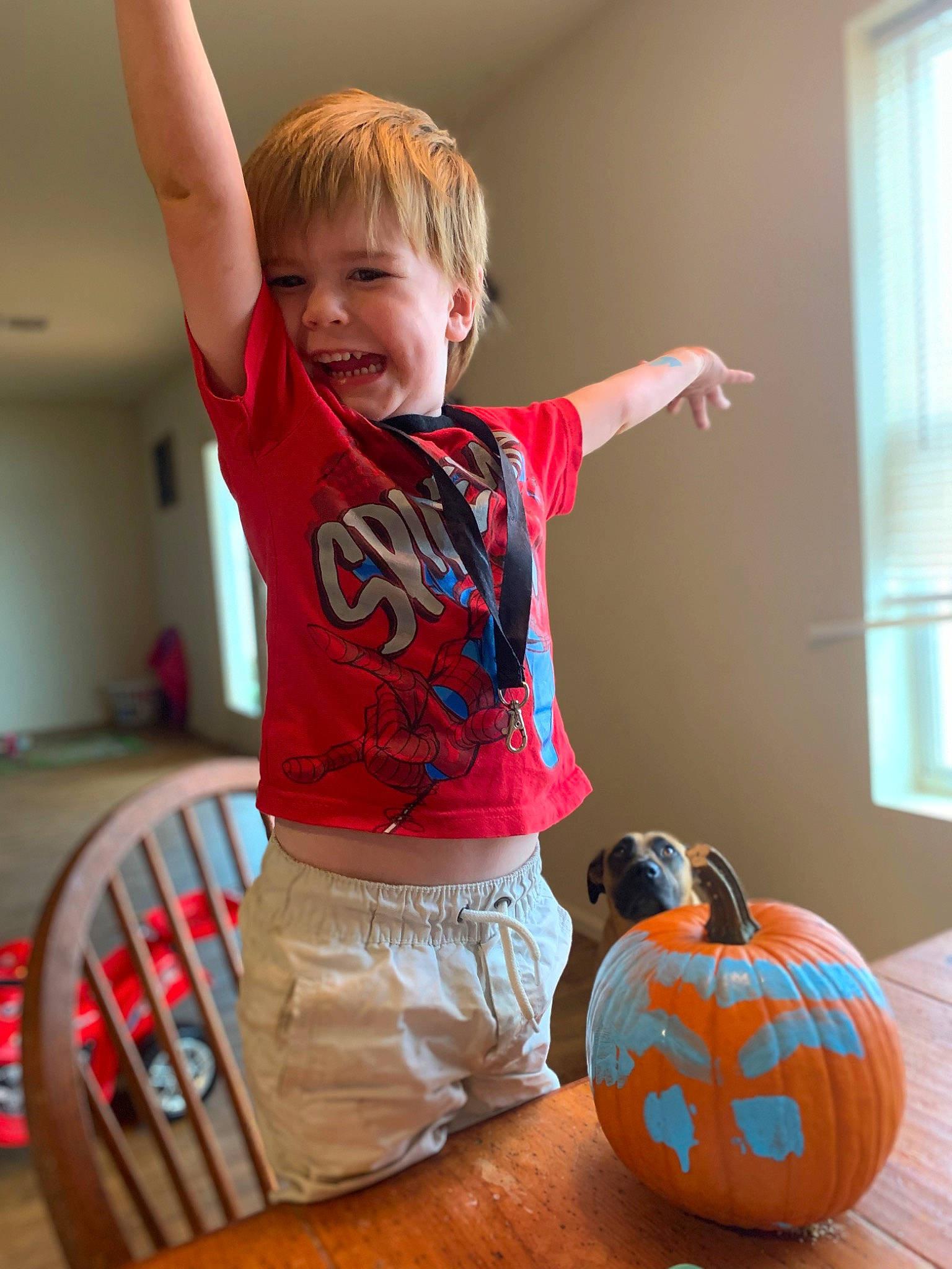 Benjamin is registered to the contest to win money with this photo: baby_toddler_clothing, calabaza, chair, child, cucurbita, floor, flooring, gourd, happy, orange, person, pumpkin, shorts, sleeve, smile, squash, t_shirt, textile, toddler, winter_squash