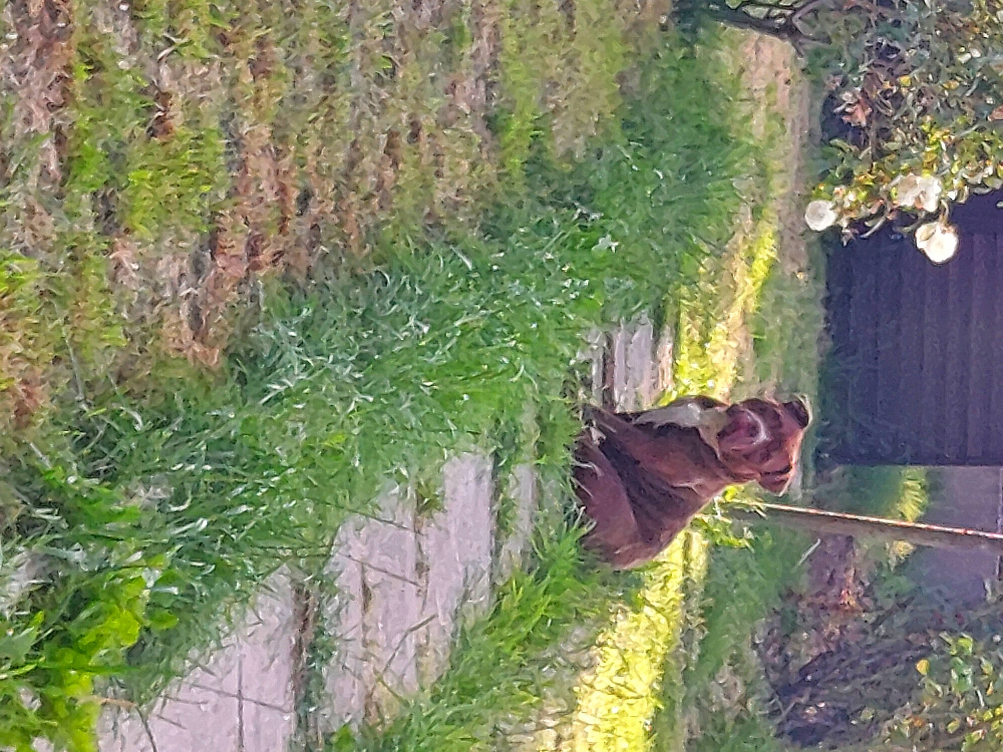 Xéna participe au concours pour gagner de l'argent avec cette photo : forest, garden, grass, grass_family, groundcover, landscape, leisure, people_in_nature, plant, rural_area, shadow, shrub, slope, soil, tints_and_shades, tree, trunk, vegetation, wood, woody_plant