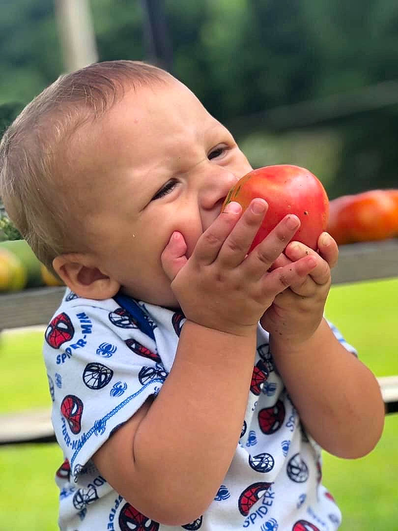 Colby joined the competition — help win amazing prizes! baby, child, finger, fruit, hand, nose, person, plant, play, toddler