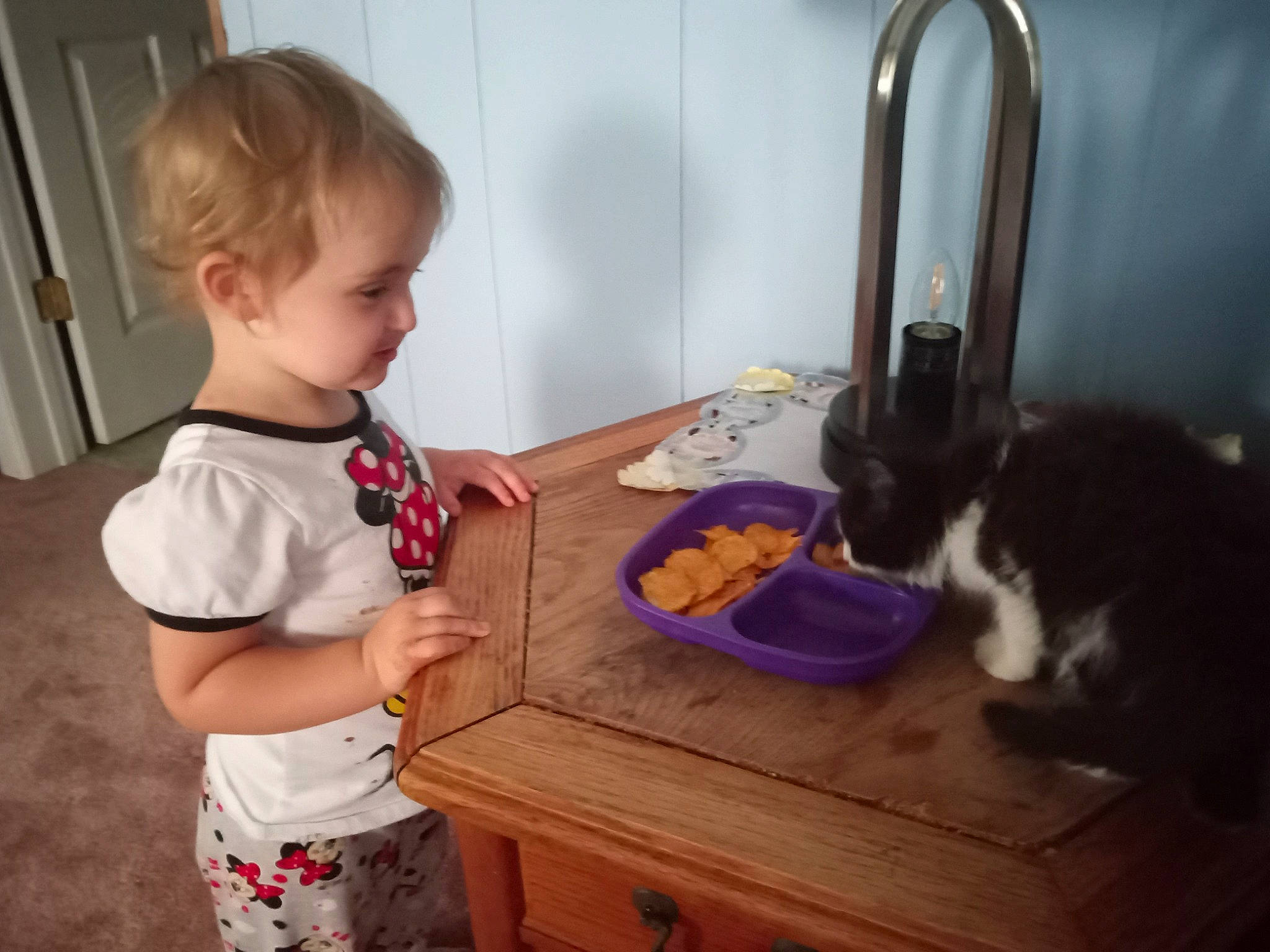 Alissa is registered to the contest to win money with this photo: baby, baby_toddler_clothing, carnivore, cat, child, felidae, hardwood, person, plumbing_fixture, room, shorts, sink, sitting, small_to_medium_sized_cats, t_shirt, table, tableware, tap, toddler, whiskers