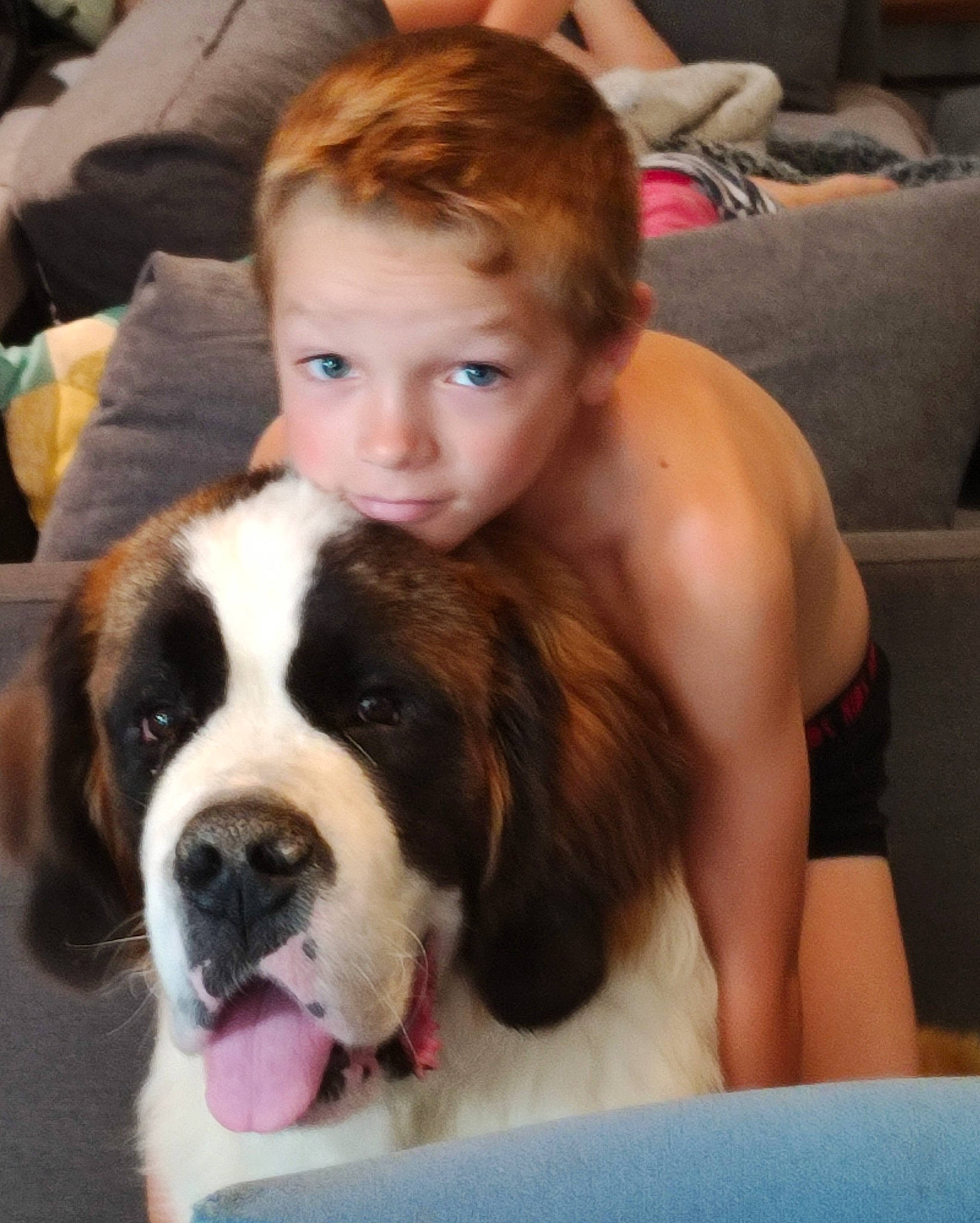 Natan a rejoint le concours — aidez-le/la à gagner de superbes lots ! carnivore, chair, child, companion_dog, dog, dog_breed, ear, event, fawn, formal_wear, fun, fur, happy, person, puppy_love, scent_hound, smile, spaniel, sporting_group, working_animal