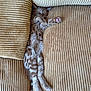 animal, beige, cat, corduroy, couch, cozy, cute, fluffy, furniture, indoor, kitten, paw, pet, pink_paw_pads, relaxed, resting, sleeping, stretching, striped, tabby