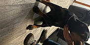 Bailey is registered to the contest to win money with this photo: companion_dog, dress, elbow, flooring, foot, hardwood, human_leg, knee, physical_fitness, room, shadow, sitting, sportswear, sunglasses, tail, thigh, tire, waist, wheel, wood