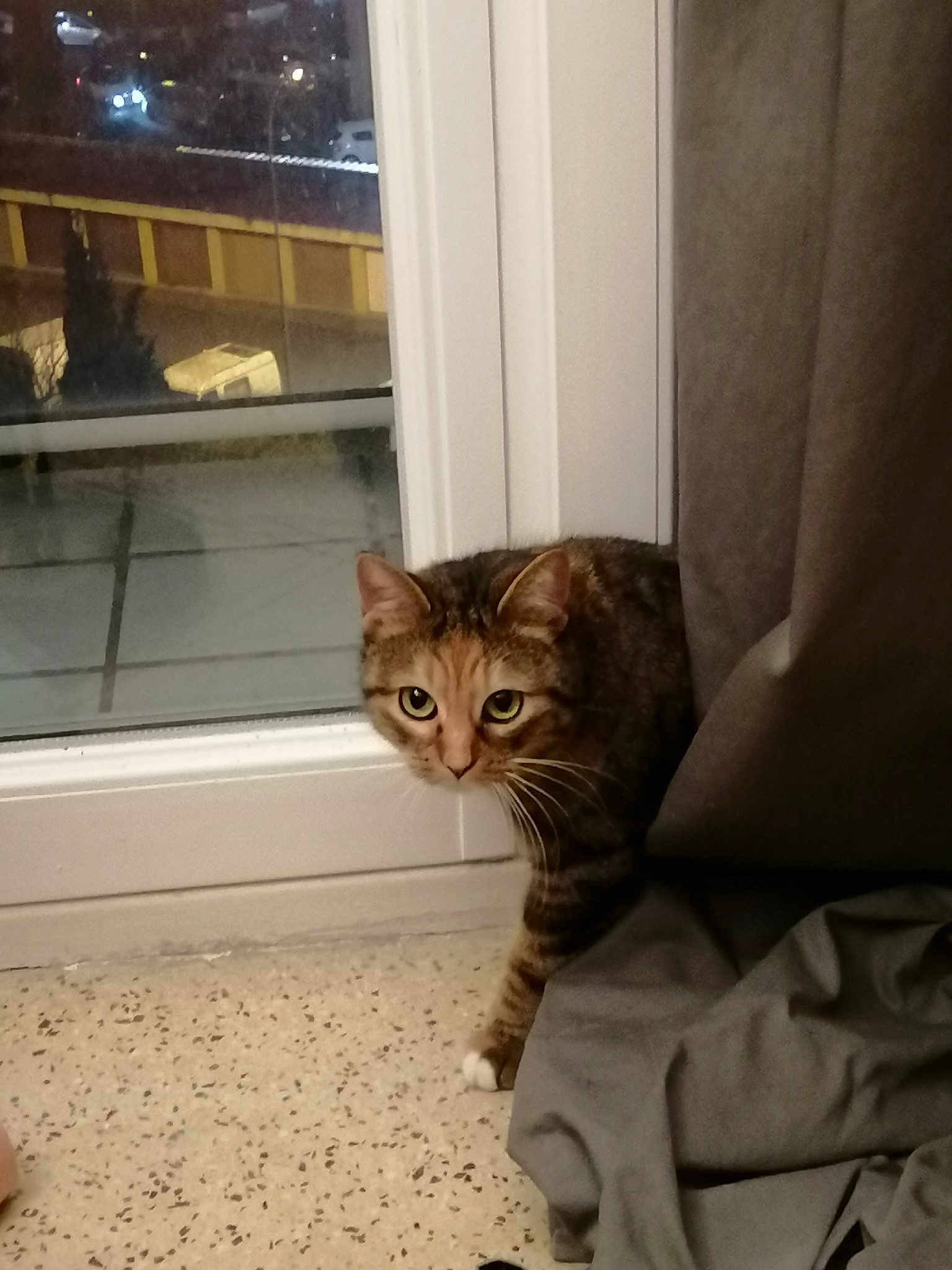 Pippa