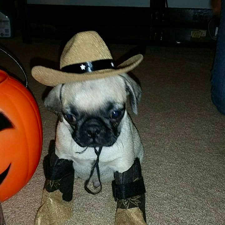 Milo