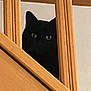 black_cat, cat, pet, animal, wooden_stairs, staircase, indoor, peeking, curious, feline, ears, eyes, shadow, quiet, home, wood, vertical_bars, closeup, hidden, watching