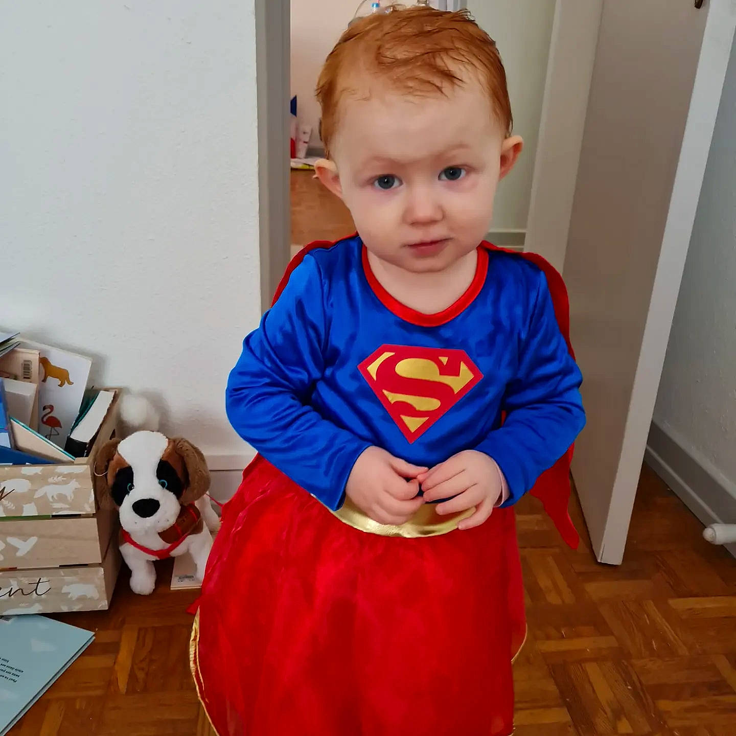 Julie participe au concours pour gagner de l'argent avec cette photo : baby, baby_toddler_clothing, child, companion_dog, electric_blue, face, facial_expression, floor, flooring, football, fun, happy, pattern, person, play, sleeve, sportswear, t_shirt, toddler, wood