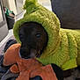 dog, costume, plush_toy, blanket, indoor, pet, cozy, furry, couch, resting, black_dog, green_hoodie, stuffed_animal, soft_texture, home, animal, cute, comfort, relax, toy