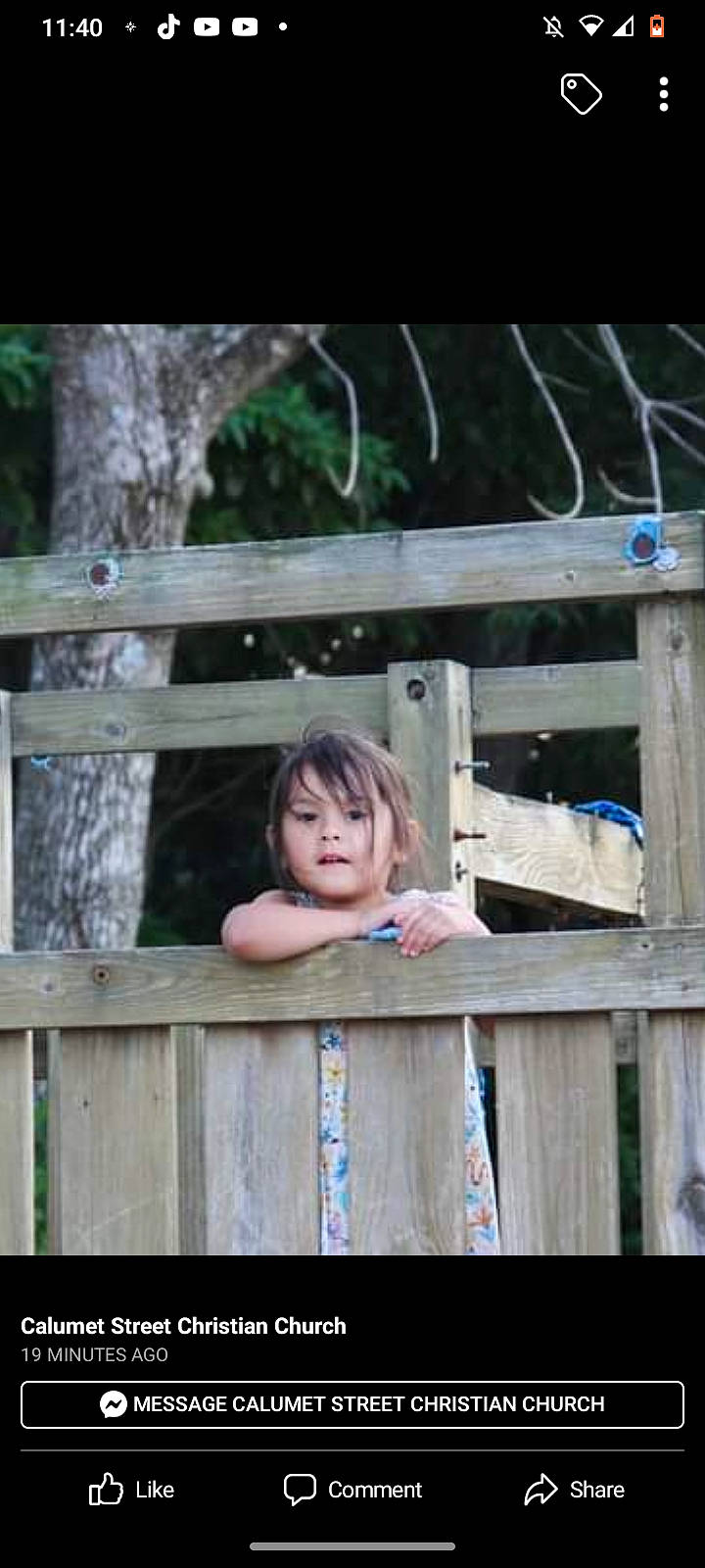 Jocelyn joined the competition — help win amazing prizes! baby, baby_toddler_clothing, child, fence, flash_photography, fun, grass, happy, hardwood, leisure, person, plank, plant, portrait_photography, sitting, smile, toddler, tree, vacation, wood