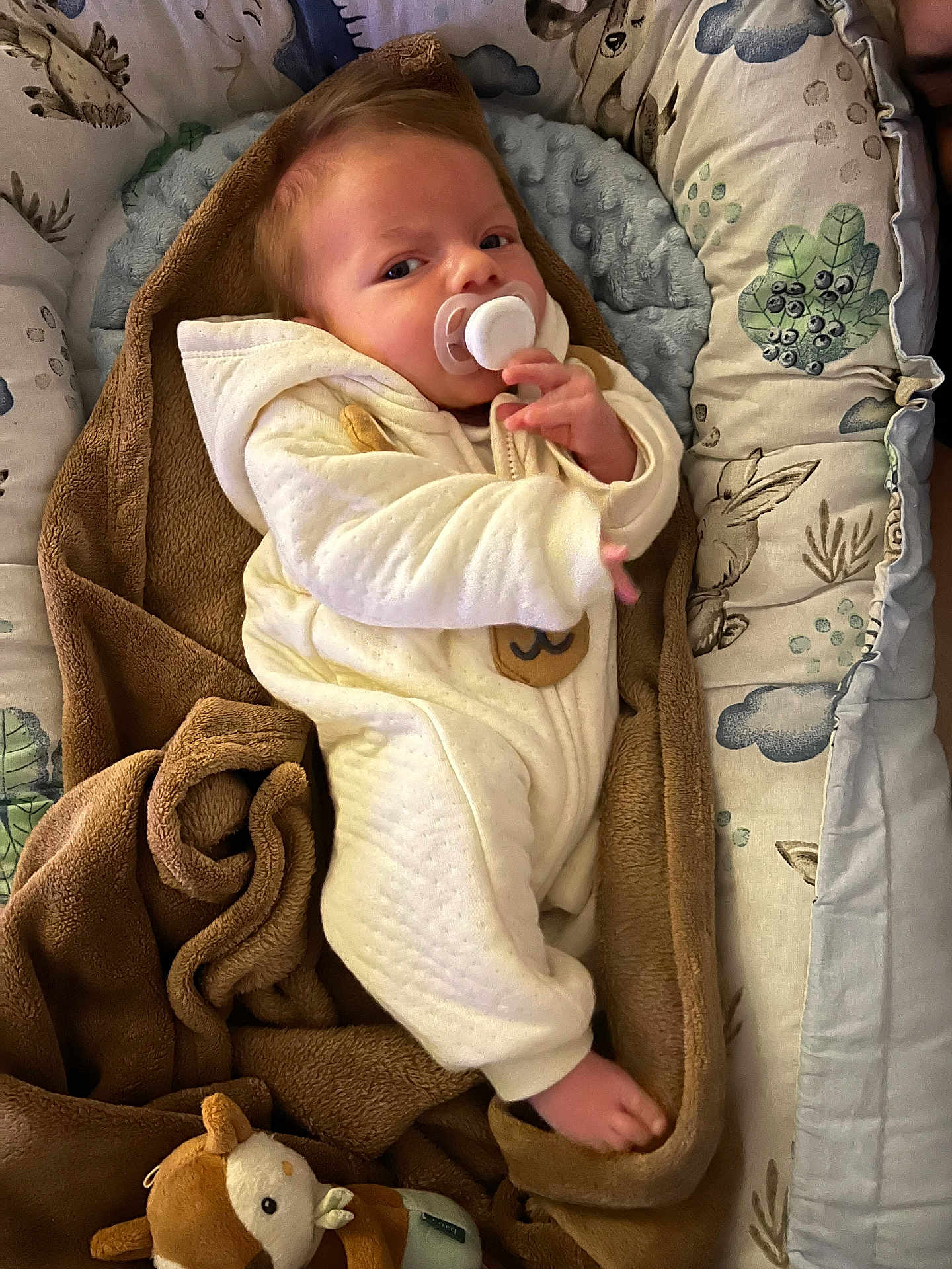 Liam participe au concours pour gagner de l'argent avec cette photo : baby, pacifier, blanket, onesie, plush_toy, cushion, infant, sleeping_bag, soft_toy, bed, cute, child, comfort, indoors, resting, wrapped, newborn, cozy, patterned, sleep