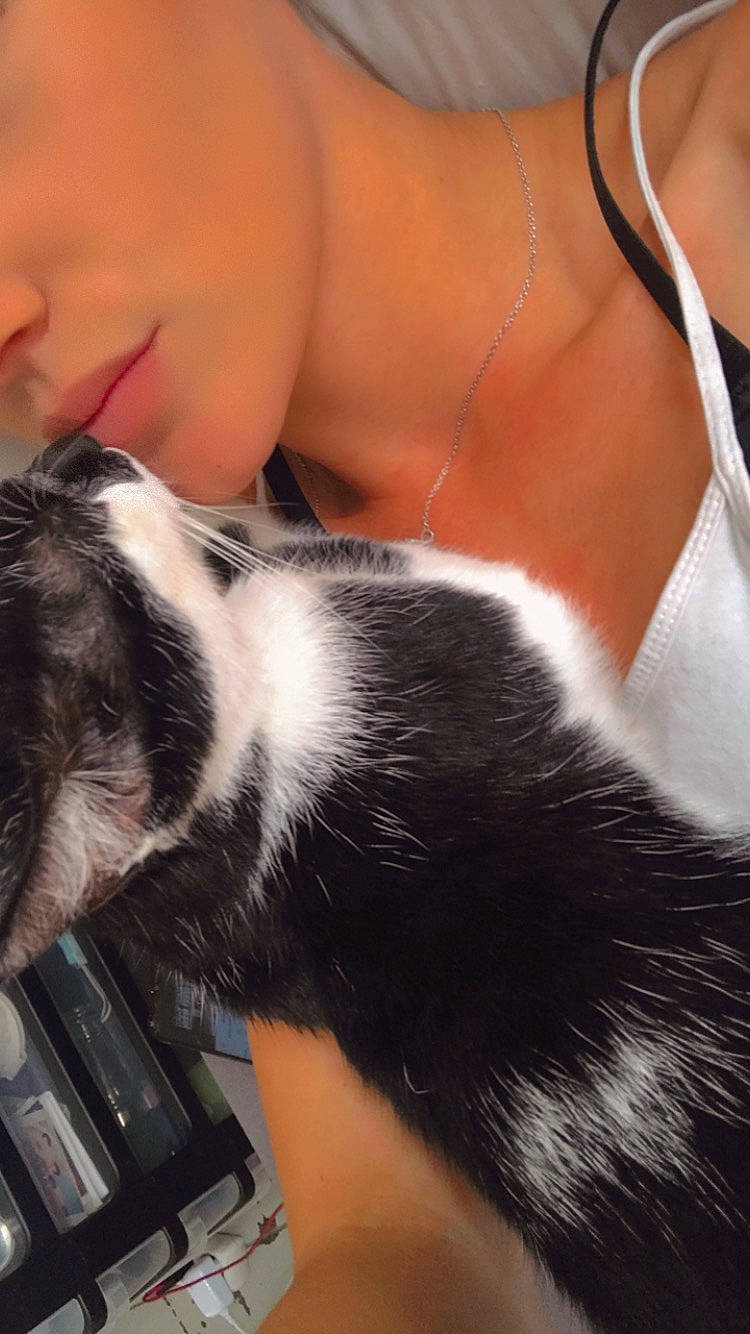 Gaya a rejoint le concours — aidez-le/la à gagner de superbes lots ! carnivore, comfort, companion_dog, dog_breed, elbow, felidae, finger, foot, fur, hand, human_leg, lap, leg, nail, paw, small_to_medium_sized_cats, tail, thigh, whiskers, wrist