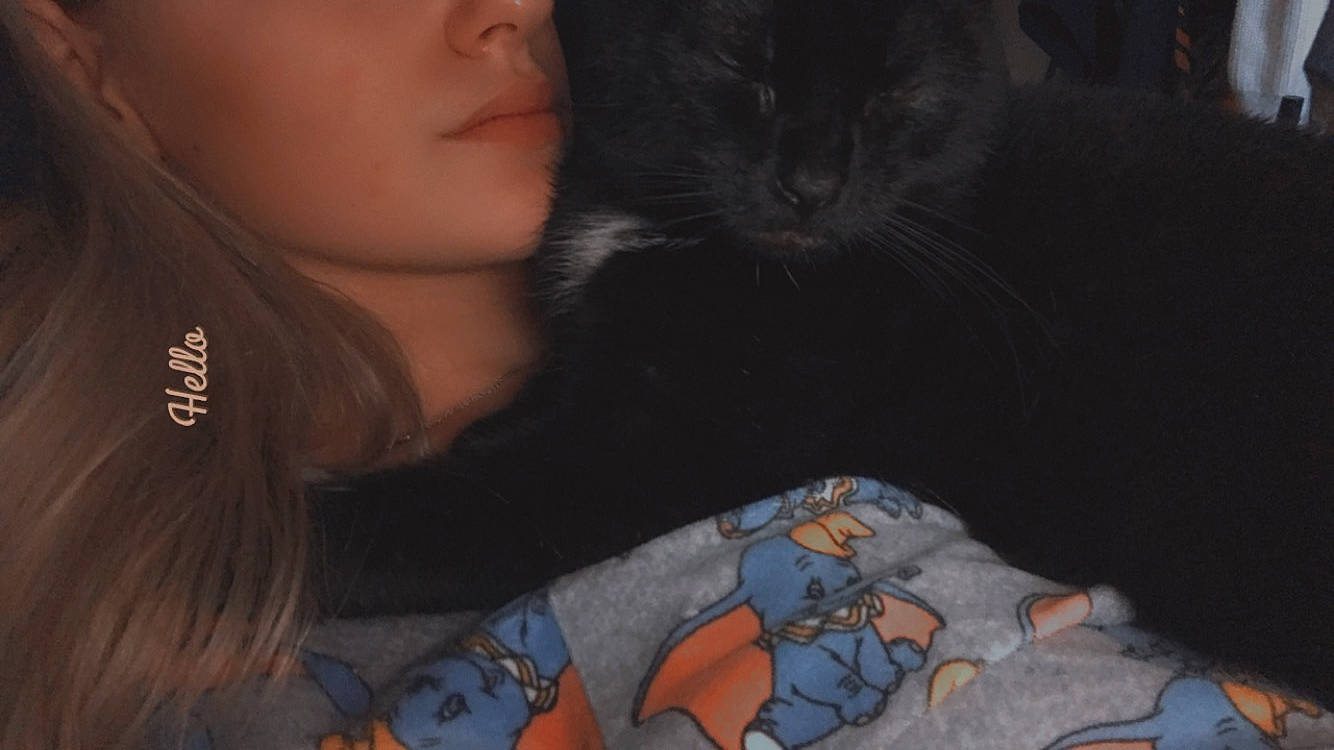 Black a rejoint le concours — aidez-le/la à gagner de superbes lots ! cat, child, comfort, darkness, domestic_short_haired_cat, facial_hair, felidae, fun, fur, gesture, human_body, iris, lap, mammal, mouth, selfie, sitting, small_to_medium_sized_cats, t_shirt, whiskers