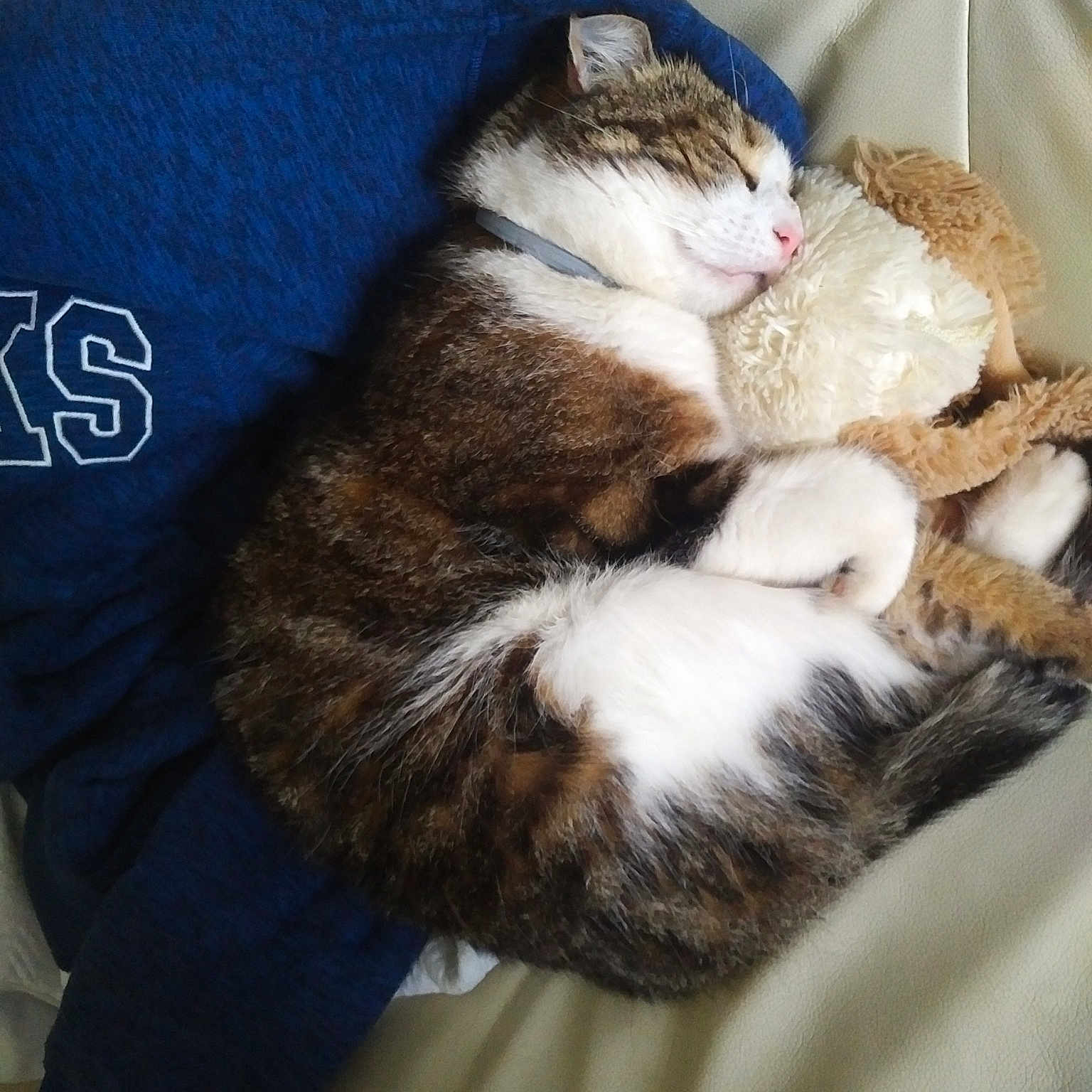 Max