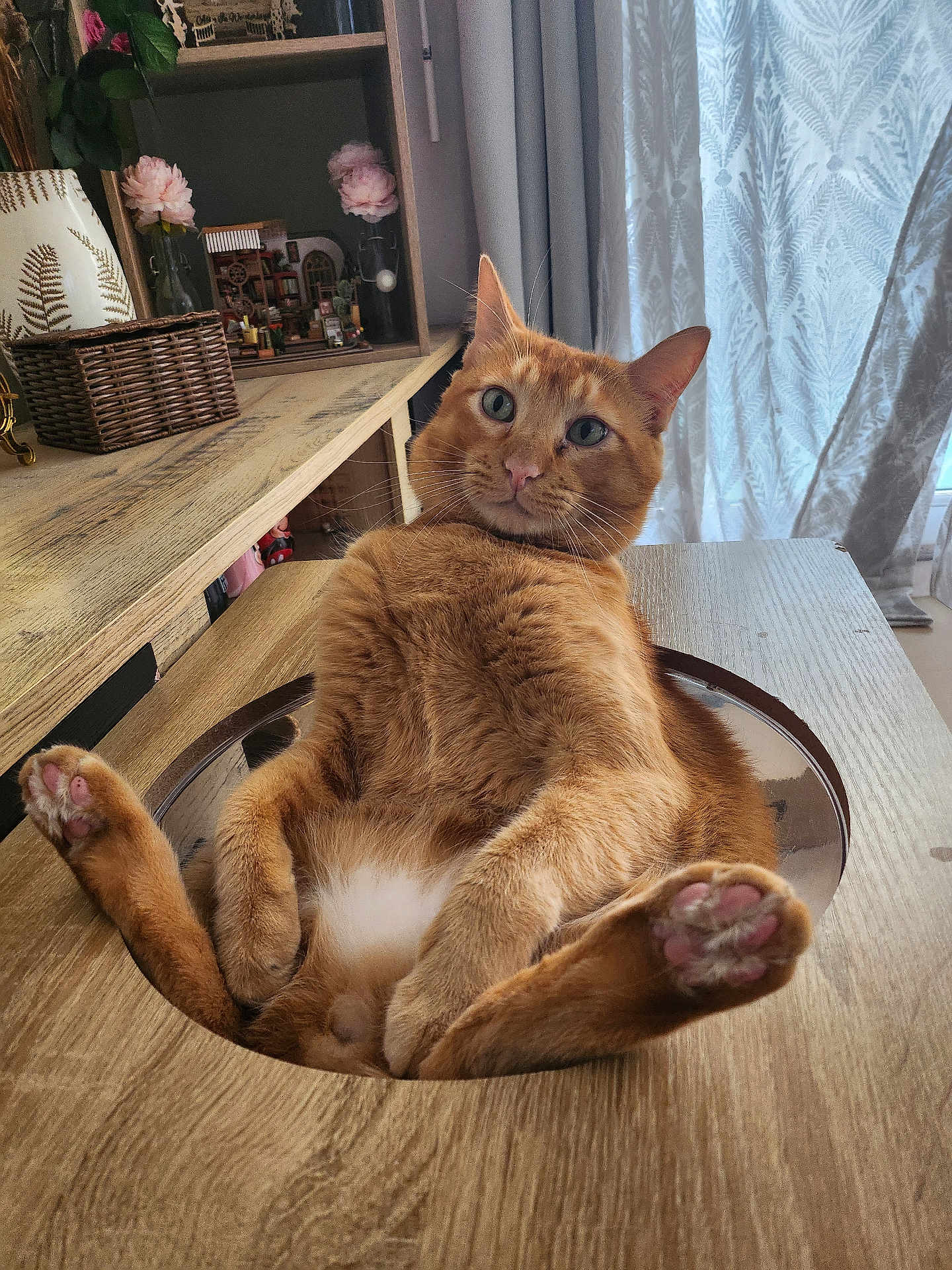 Shelly a rejoint le concours — aidez-le/la à gagner de superbes lots ! cat, ginger_cat, indoor, table, wooden_table, relaxed, paws, feline, pet, cute, orange_fur, pink_paw_pads, curtains, flower_vase, home_decor, sitting, looking_at_camera, cozy, domestic, fur