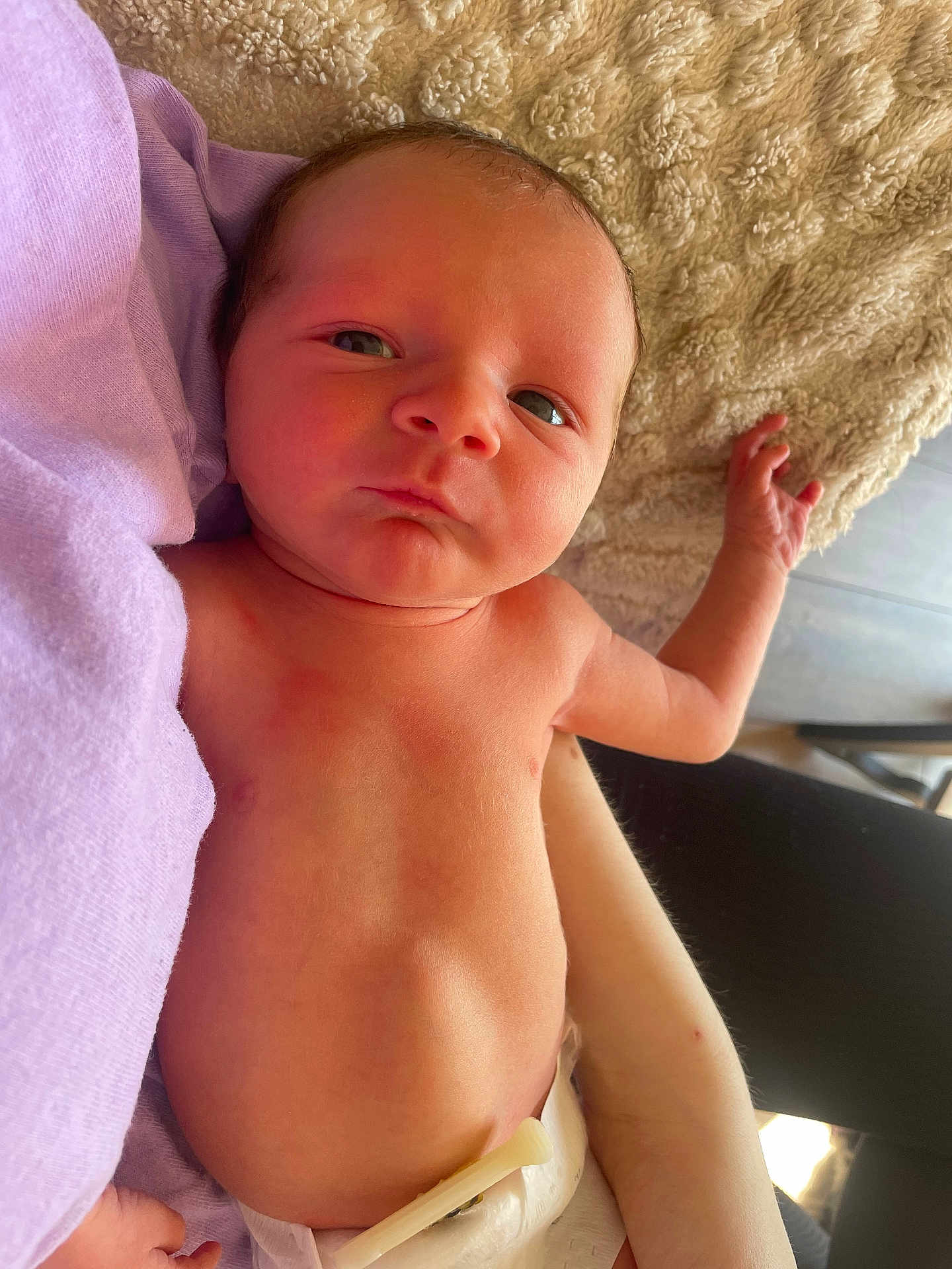 Noah is registered to the contest to win money with this photo: newborn, baby, infant, diaper, blanket, soft_texture, close_up, curious_expression, skin, hand, arm, person, indoors, clothing, purple_cloth, light, nap, resting, human, cute
