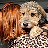 Falco participe au concours pour gagner de l'argent avec cette photo : affection, animal, black, brown, close_up, companion, cozy, cute, dog, friendship, fur, hug, indoor, jacket, leopard_print, mammal, person, pet, portrait, warm_light