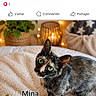 animal, bed, blanket, calico_cat, cat, close_up, cozy, ears, feline, fur, green_eyes, home, indoors, pet, portrait, sitting, social_media_screenshot, tortoiseshell_cat, whiskers, winter