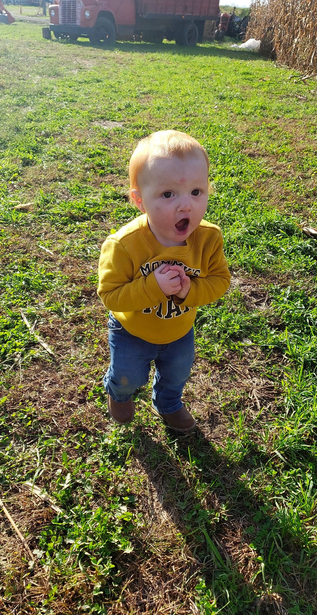 Blayze is registered to the contest to win money with this photo: baby, baby_toddler_clothing, botany, child, face, fun, garden, grass, grass_family, grassland, groundcover, happy, lawn, mammal, nature, people_in_nature, person, plant, soil, surprise