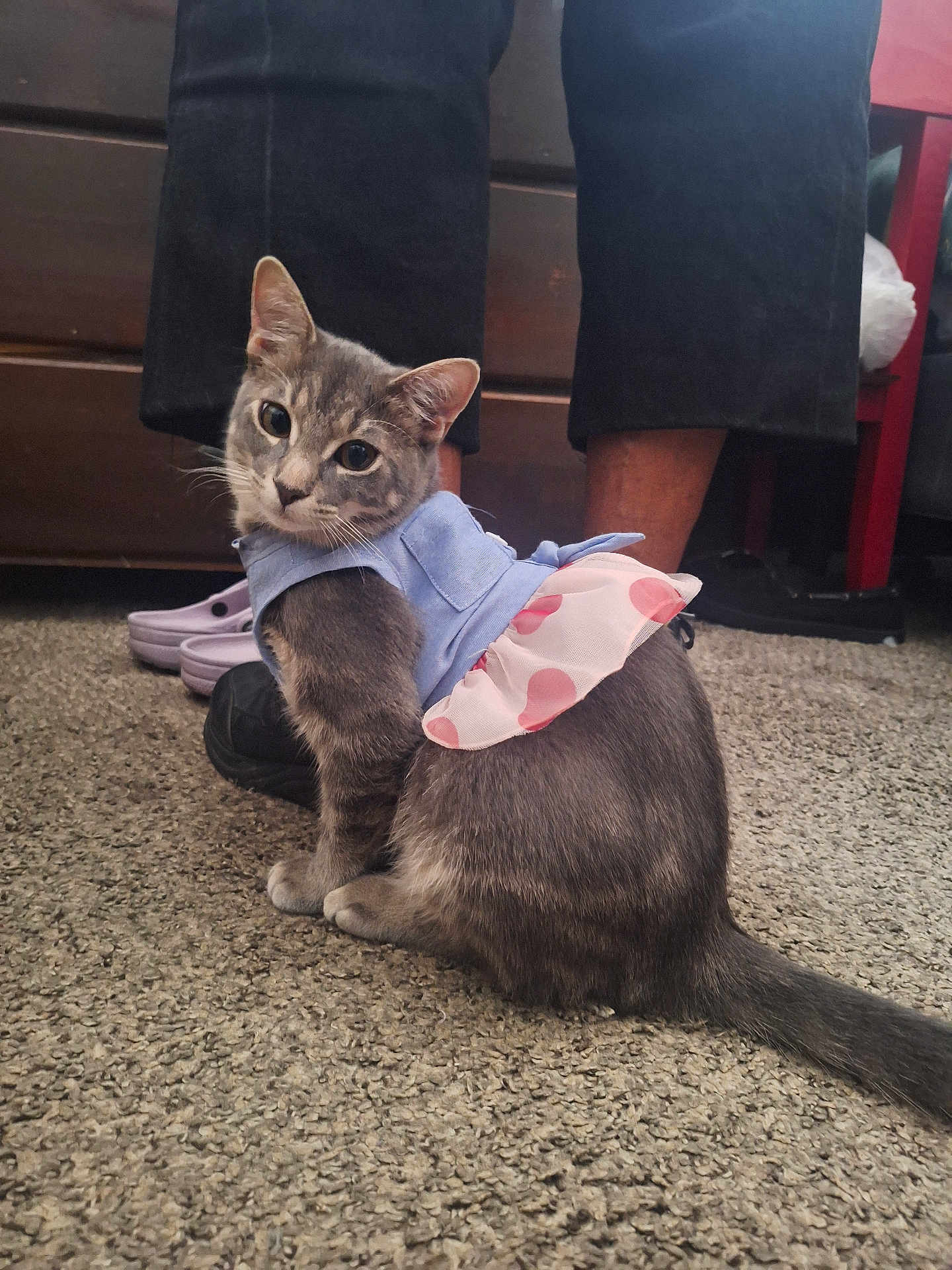 Mimi