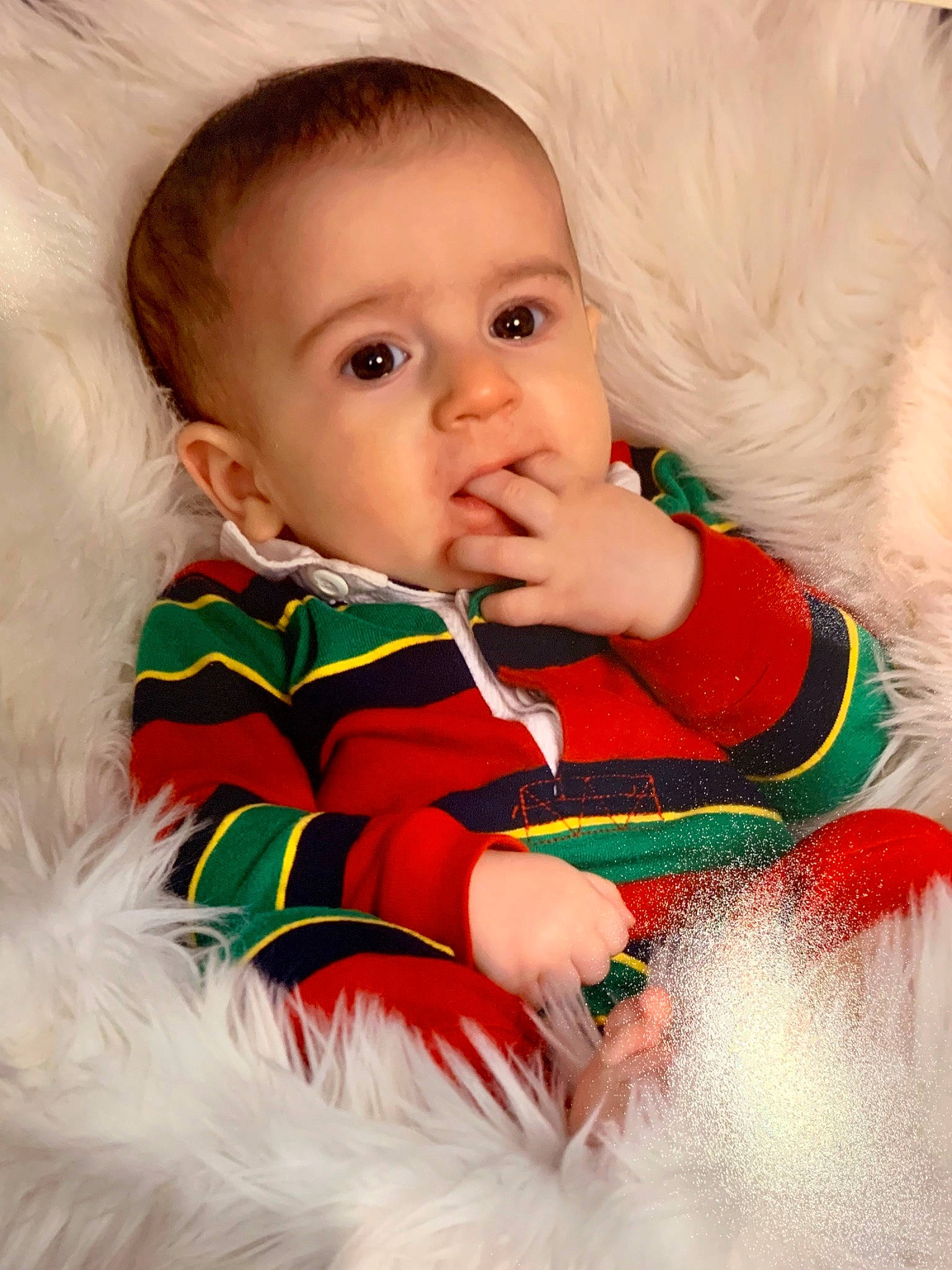 Armani joined the competition — help win amazing prizes! baby, cheek, child, child_model, christmas, eye, face, fictional_character, fur, head, iris, lip, mouth, nose, person, photography, portrait_photography, sitting, skin, smile