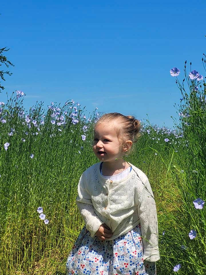 Marion participe au concours pour gagner de l'argent avec cette photo : azure, baby_toddler_clothing, blue, field, flower, flowering_plant, grass, grass_family, grassland, happy, herbaceous_plant, meadow, natural_environment, people_in_nature, person, petal, plant, prairie, shrub, sky