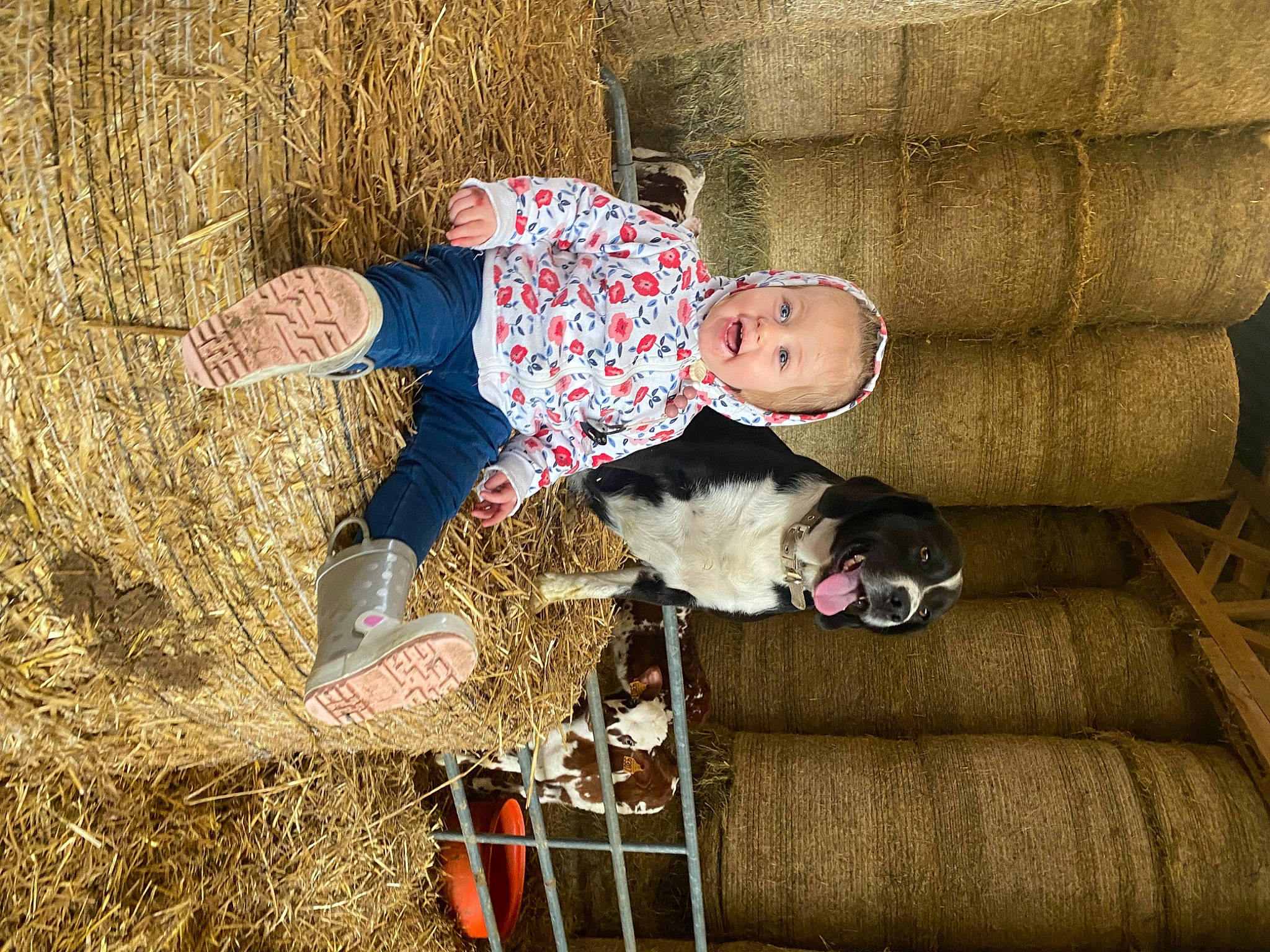 Marion participe au concours pour gagner de l'argent avec cette photo : carnivore, child, comfort, companion_dog, couch, dog, dog_breed, dress, fun, fur, grass, human_leg, lap, leisure, person, sitting, soil, thigh, toddler, vertebrate