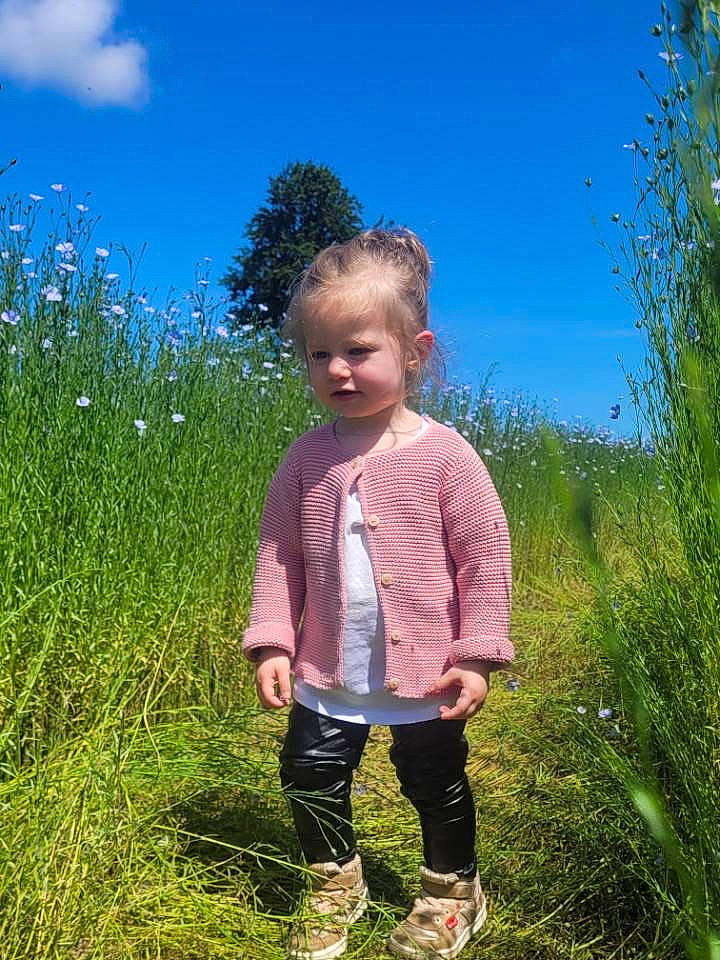 Marion participe au concours pour gagner de l'argent avec cette photo : blond, child, field, flower, gesture, grass, grassland, happy, landscape, meadow, natural_landscape, pasture, people_in_nature, person, plant, prairie, sky, terrestrial_plant, toddler, tree