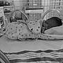 Carter is registered to the contest to win money with this photo: bed, bed_sheet, bedding, bedroom, black, black_and_white, child, comfort, couch, furniture, house, linens, monochrome, monochrome_photography, photography, product, room, style, textile, white