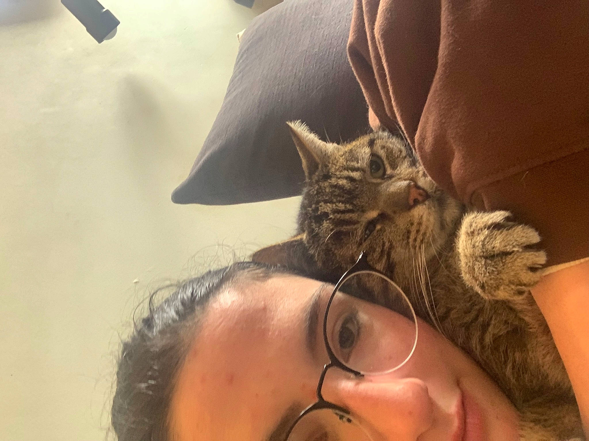 Billy a rejoint le concours — aidez-le/la à gagner de superbes lots ! beard, carnivore, cat, comfort, eyelash, eyewear, fawn, felidae, finger, gesture, glasses, hand, happy, nail, neck, skin, small_to_medium_sized_cats, sunglasses, vision_care, whiskers