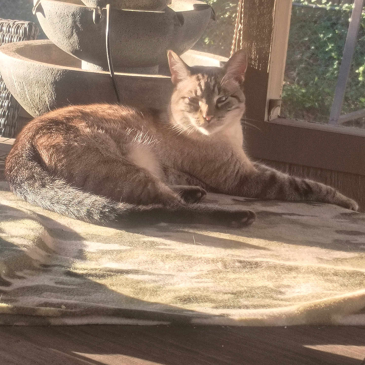 Alvin