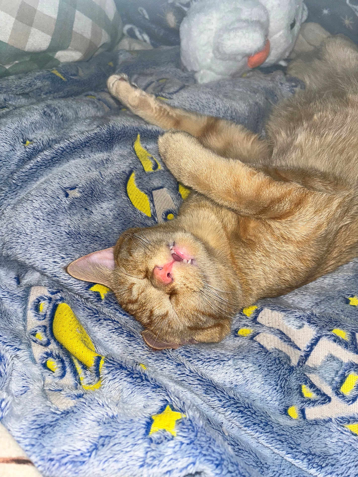 Tigger