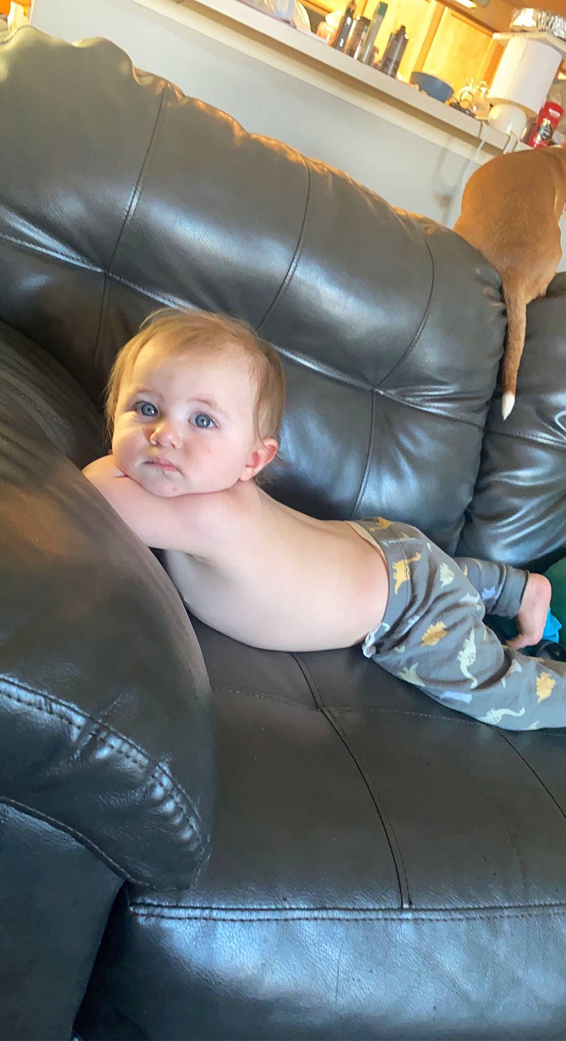 Gary joined the competition — help win amazing prizes! arm, blond, car_seat, chest, comfort, couch, electric_blue, flooring, fun, hairstyle, human_body, human_leg, joint, knee, lap, leg, mammal, person, sitting, thigh