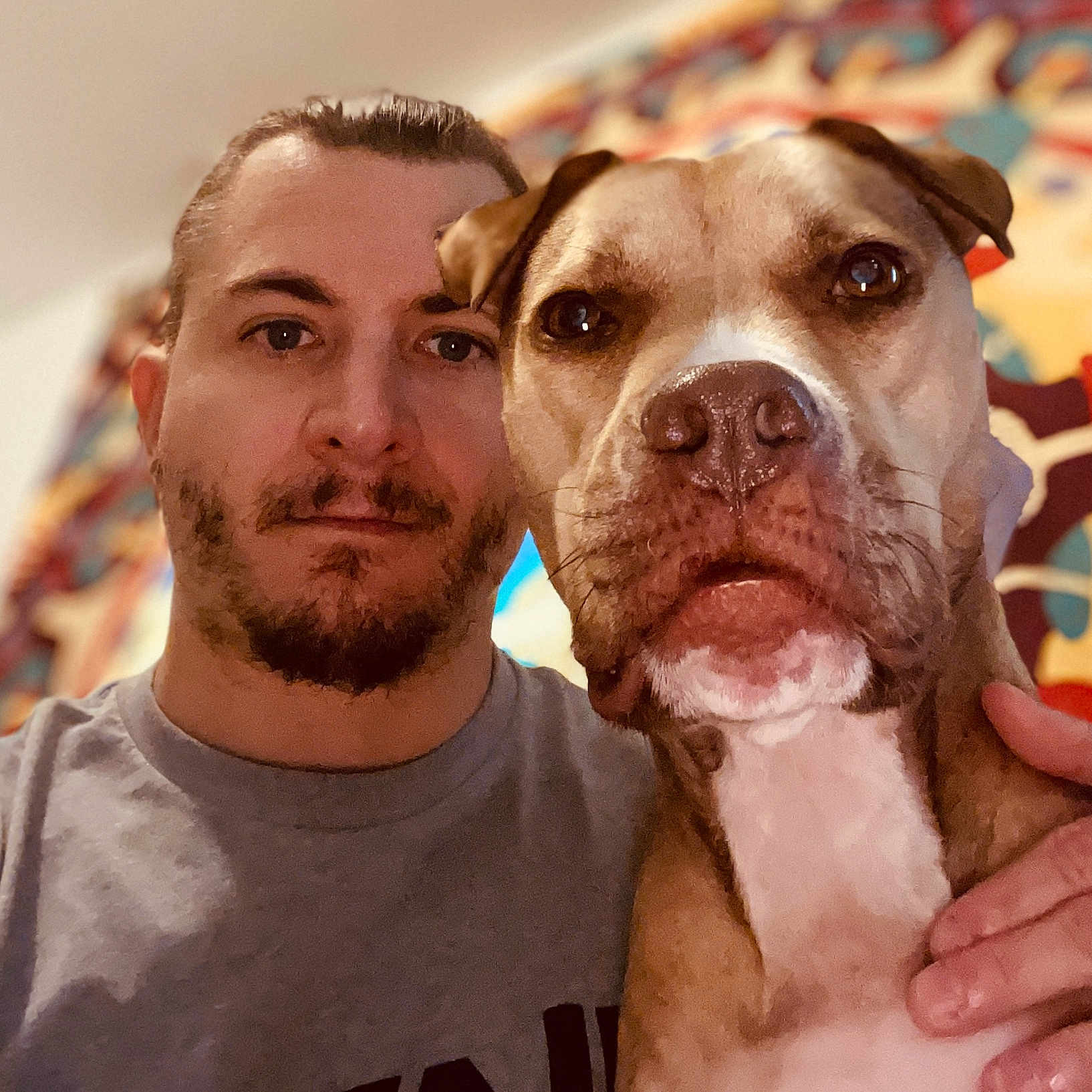 Quinn joined the competition — help win amazing prizes! adult, animal, beard, bodypart, boxer, bulldog, canine, dog, face, finger, hand, head, hound, male, man, person, pet, photography, pitbull, portrait