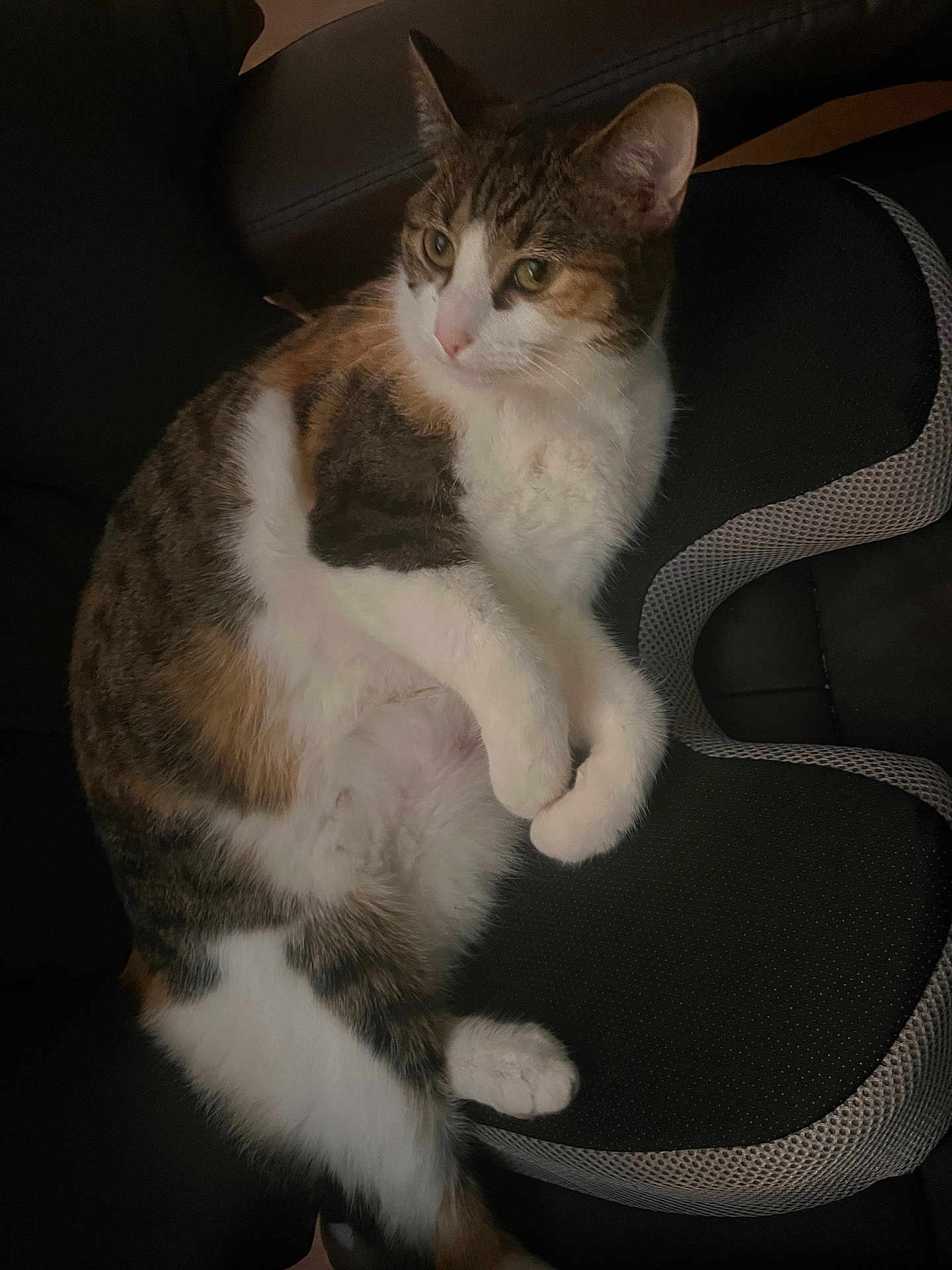 Nala