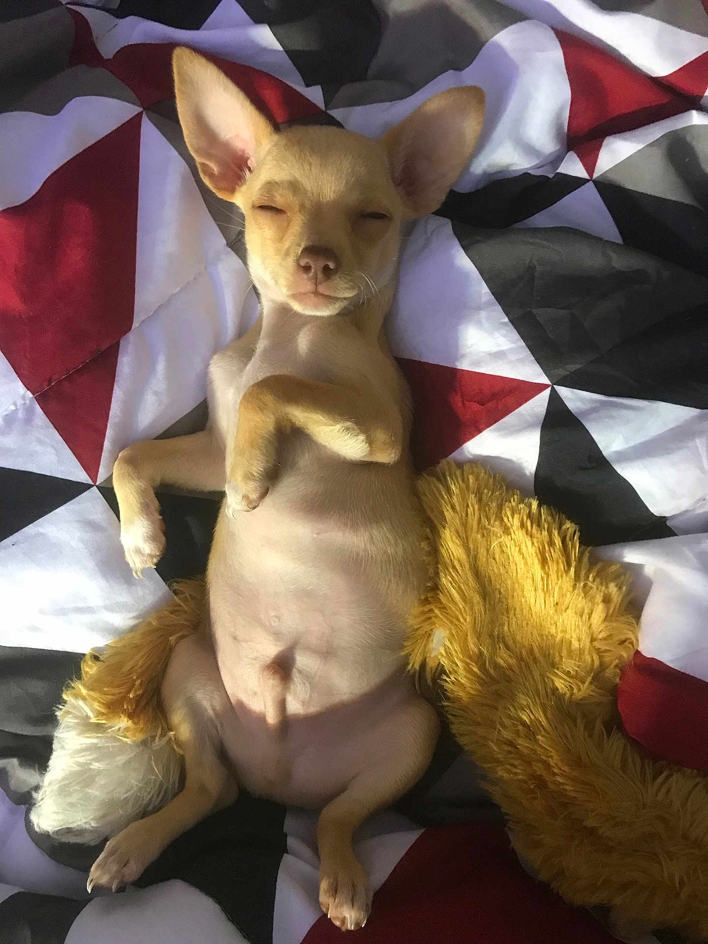 Opie Taylor