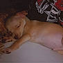 Opie Taylor is registered to the contest to win money with this photo: puppy, sleeping, dog, animal, pet, cozy, fur, cute, resting, young, small, indoors, relaxing, soft, cuddly, lying_down, peaceful, adorable, nap, companion