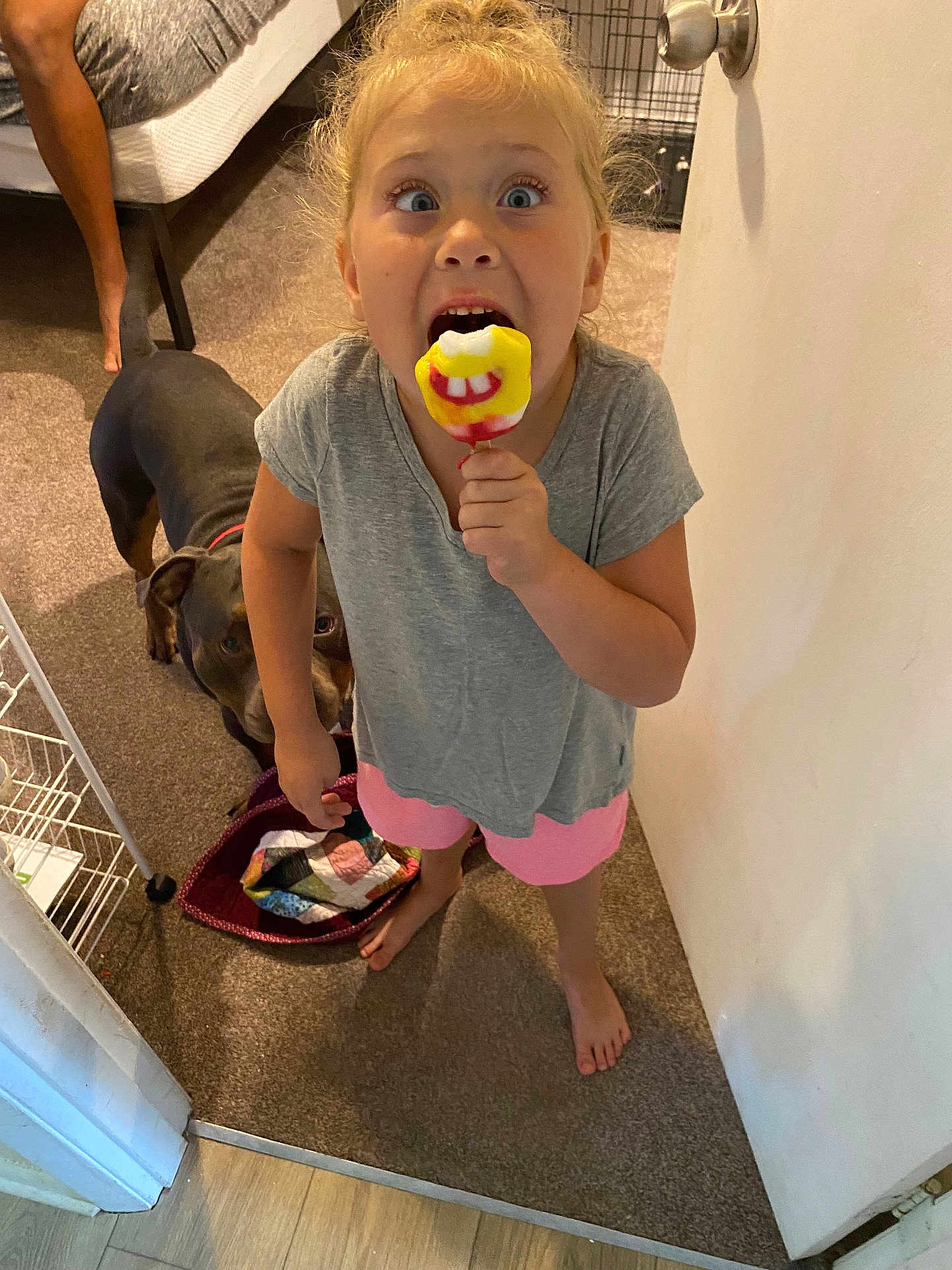 Addie is registered to the contest to win money with this photo: child, lollipop, barefoot, dog, indoor, carpet, playful, smiling, toy, person, shorts, tshirt, home, door, animal, pet, curious, expression, fun, colorful