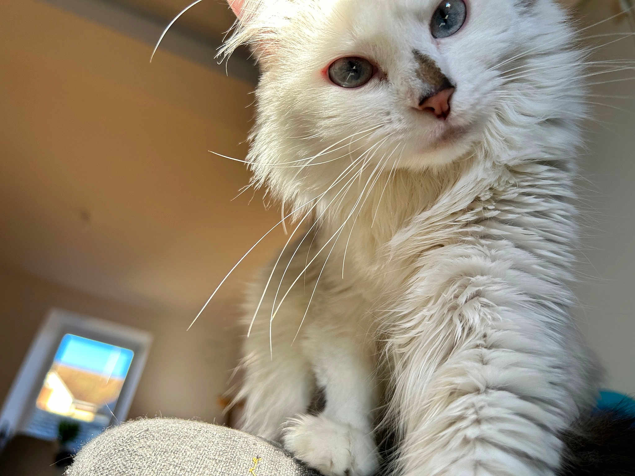 Indiana