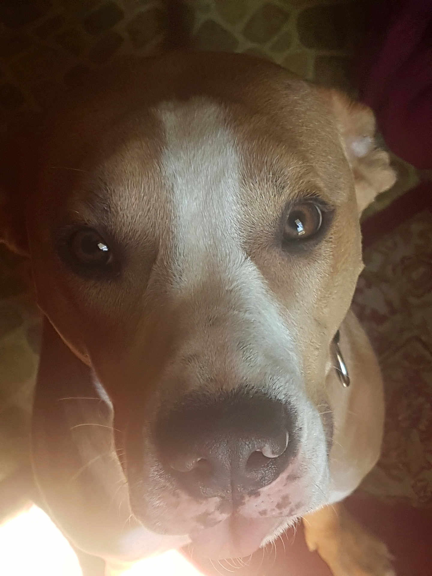 Astro